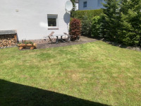 /album/der-pferdestall-buiten-/img-9733-jpg/