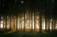 /album/fotogallerij/baswald-jpg/