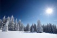 /album/fotogallerij/landschaft2-jpg/