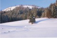 /album/fotogallerij/liesetal02-jpg/